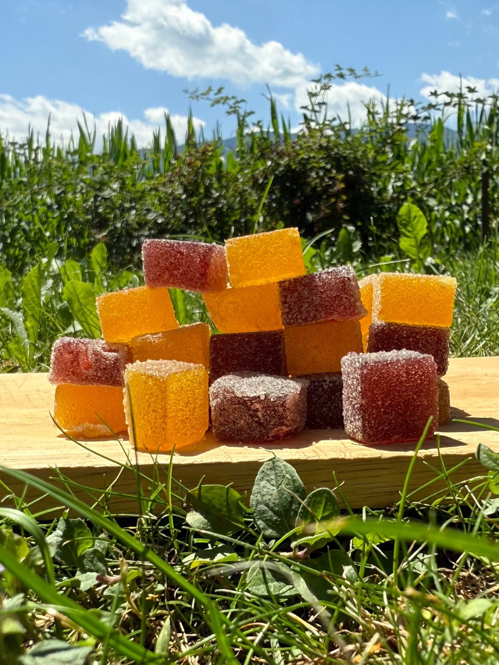High Guys - Aroma Gummies (10 Stk.) - CannaFleur