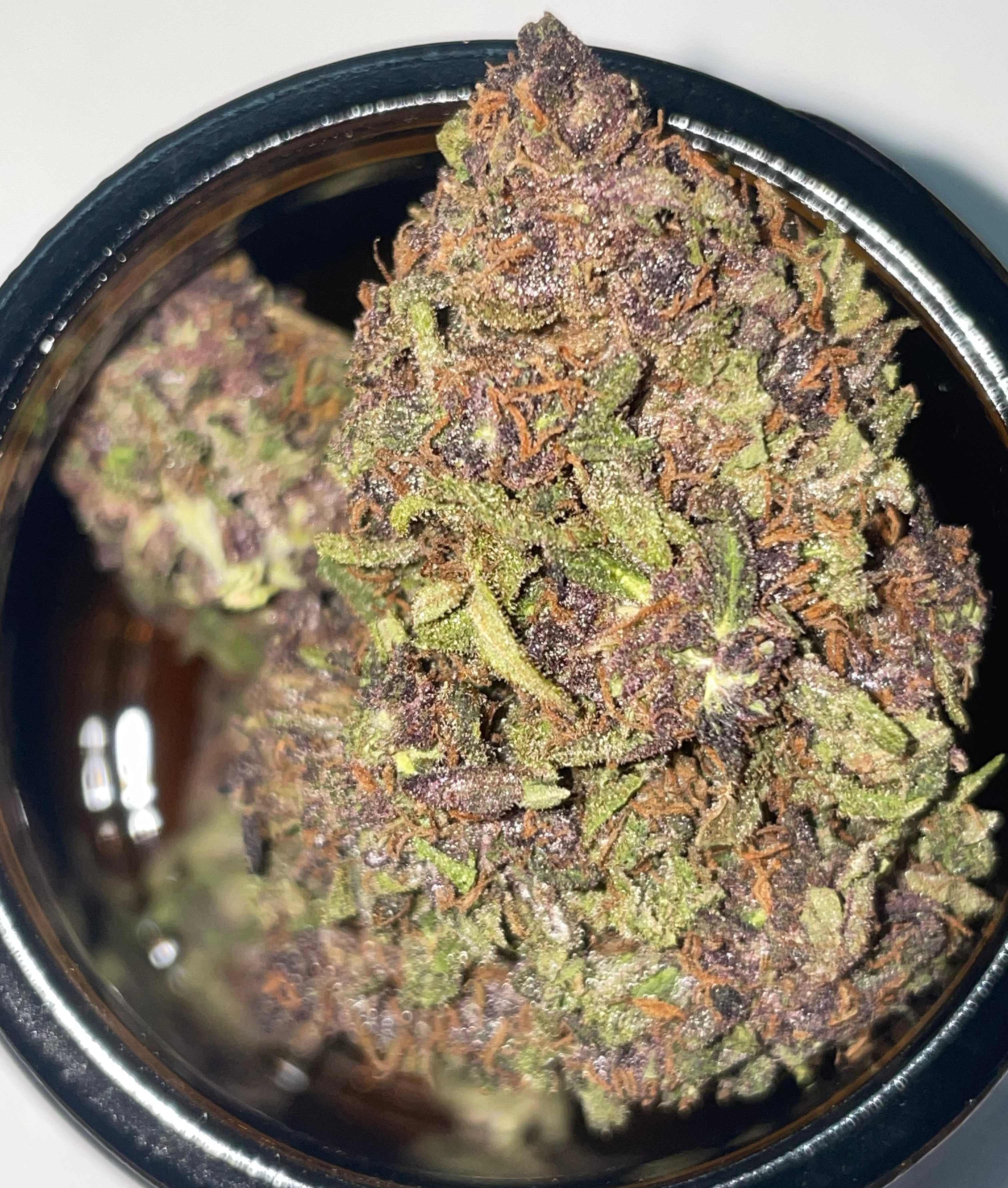 Hanfblüten Tee - Le Champ (Cupwinner 2025) - CannaFleur